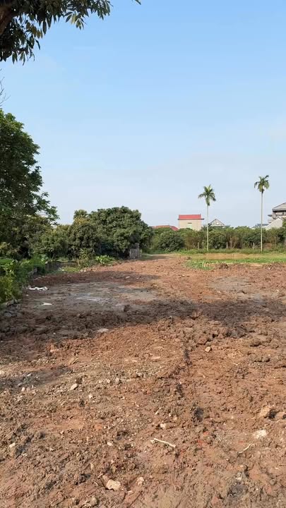 Đất nền Diên Hồng 800m² - Đường to ô tô, chia lô sinh lời!