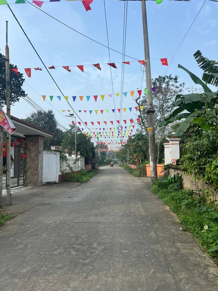 Đất nền Vạn Xuân, Tam Nông 267m² - Xây dựng tự do, ô tô vào tận nơi!