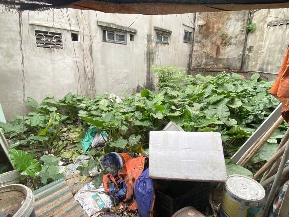 Bán đất 40m² Yên Ngưu, Thanh Trì - 5 Tỷ, Ngõ Rộng 3m