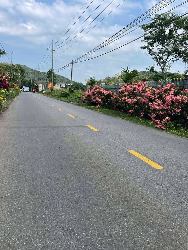 Bán Đất Mặt Tiền Đường Bê Tông Lớn Phú Xuân, Nhà Bè - 800m² Sổ Sẵn