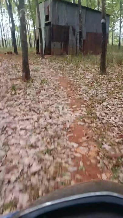 Đất nền Đăk Ru, Đắk Nông 2.4ha - Tiềm năng tăng giá vượt trội!