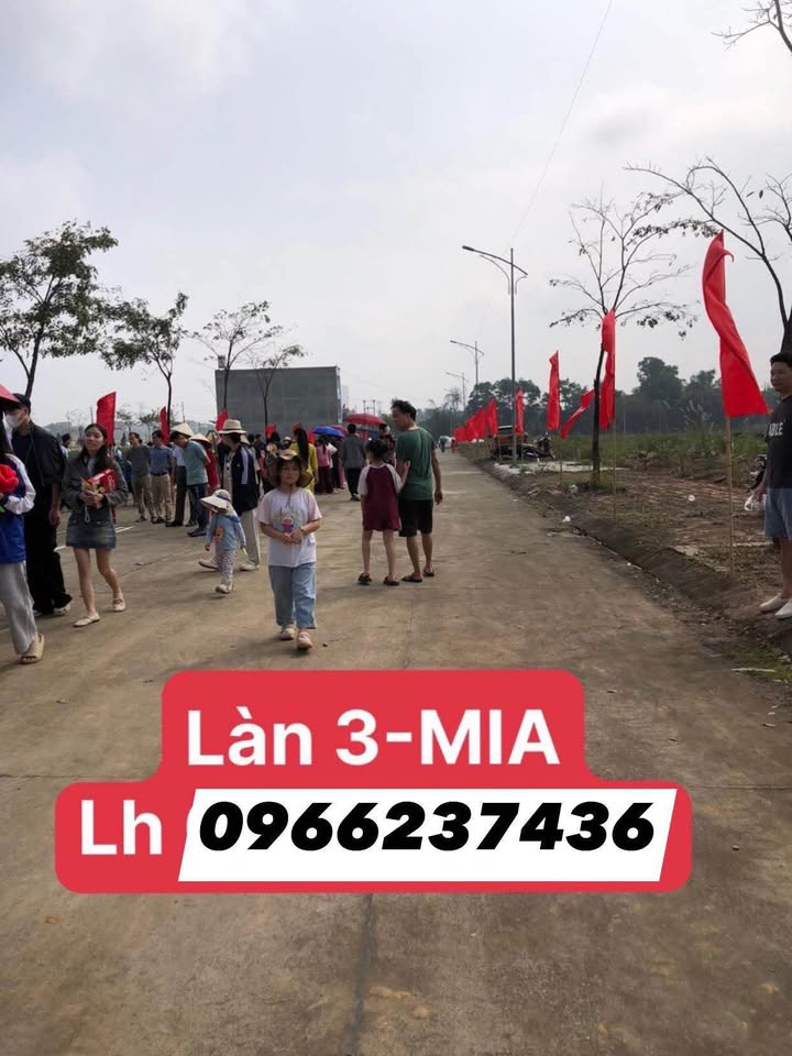 Đất nền Miaforet Thái Nguyên 95m² - Đường to ô tô, hạ tầng hoàn thiện!