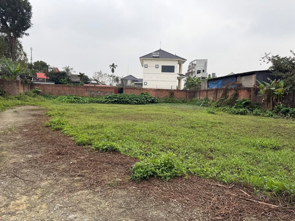 Đất nền Tân Hương 100m² giá 6xx triệu - Sổ đỏ chính chủ