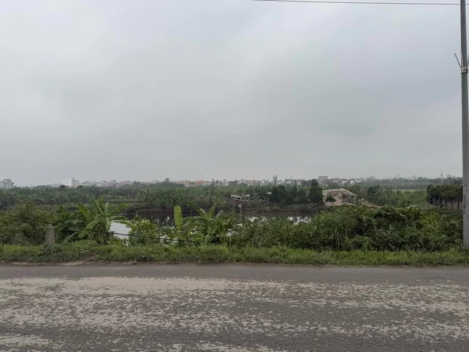 Đất nền Hạ Mỗ Đan Phượng 76m² - Đầu tư sinh lời ngay, giá chỉ từ 8 tỷ