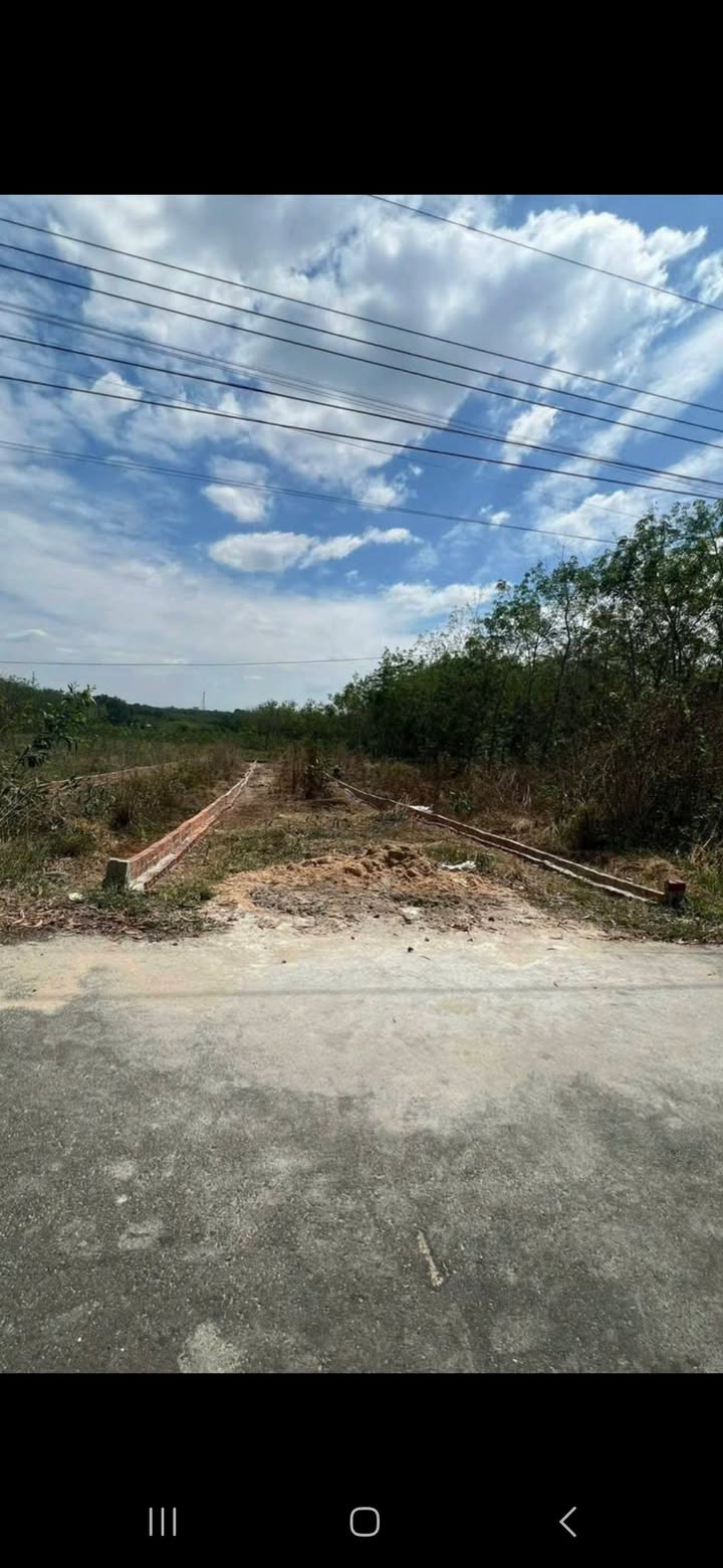 Đất Nền Dầu Tiếng Bình Dương 250m² - Sổ Đỏ Sẵn Sàng - Giá 7xx Triệu