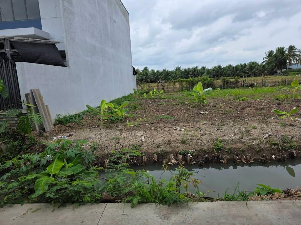 Bán 02 Nền Đất KDC Mỹ Phong - 80m² Thổ Cư, Sổ Riêng, Giá 850 Triệu/Nền