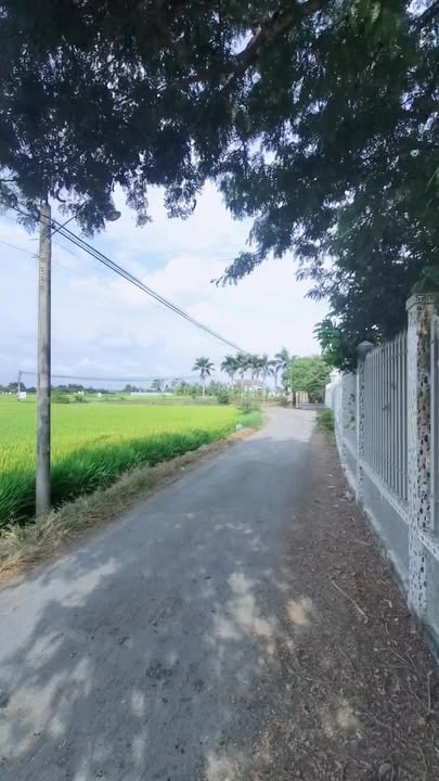 Đất nền Ấp Thạnh Lạc 200m² - Đất thổ cư 100%, giá chỉ 360 triệu!