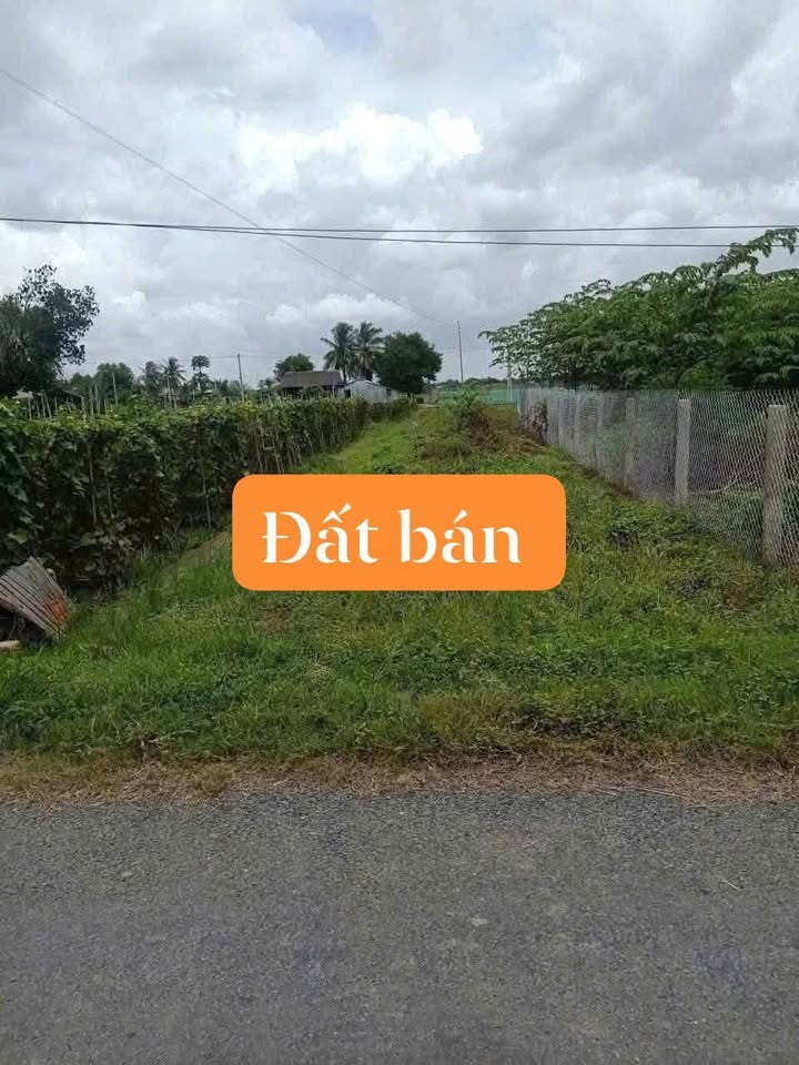 Đất nền Tam Nông Đồng Tháp 100m² – Sổ đỏ chính chủ, mặt tiền nhựa!
