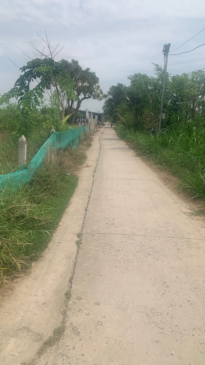 Đất nền 100m² Bình Nghị, Gò Công Đông - Sổ đỏ chính chủ, giá 230 triệu!