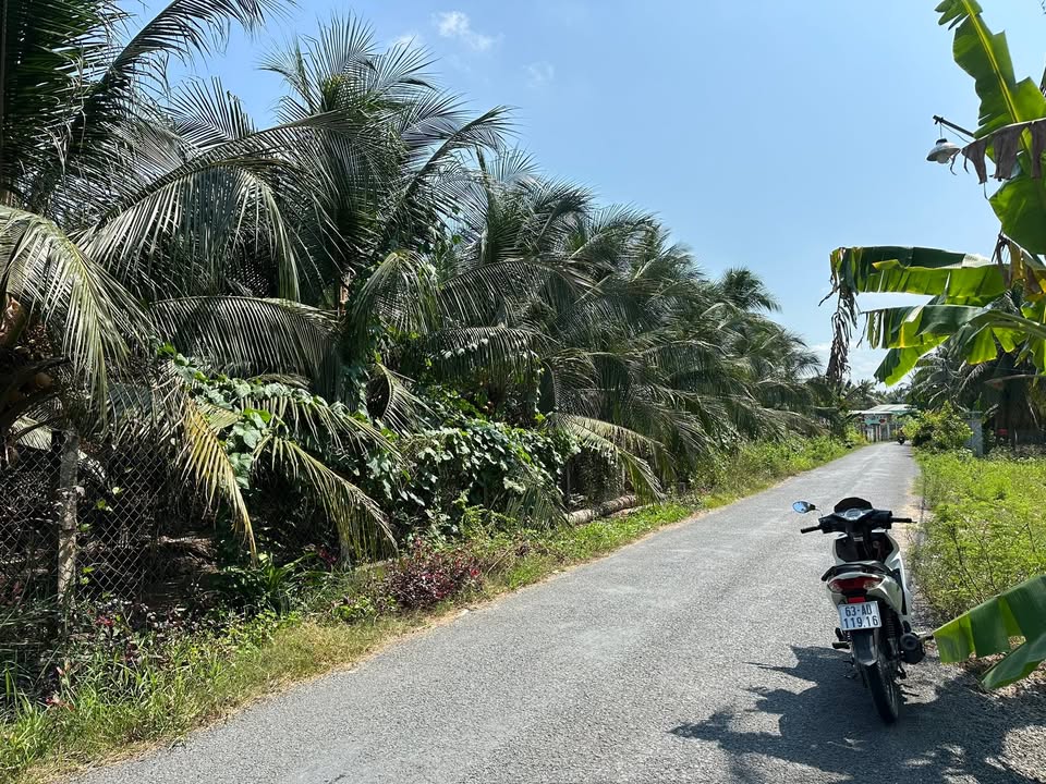 Đất Nền Chợ Gạo, Tiền Giang 1330m² - Tiềm Năng Tăng Giá Vượt Trội!