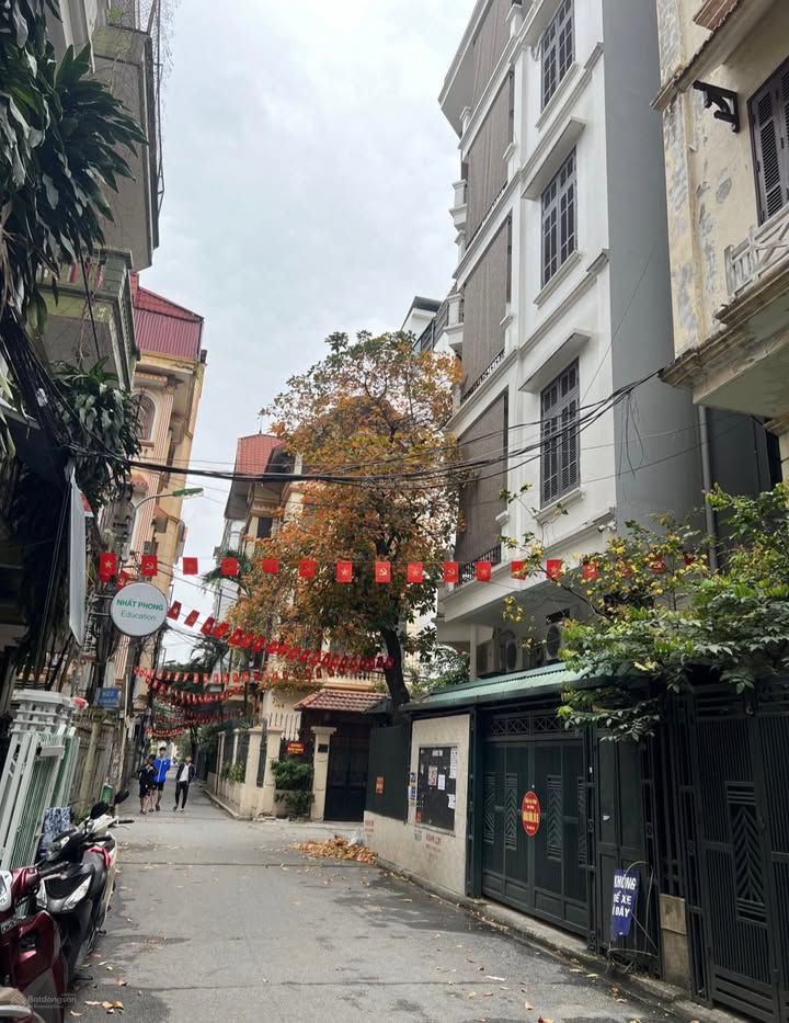 Nhà phố Trần Quốc Hoàn 50m², 19.9 tỷ - Mặt tiền kinh doanh sầm uất!