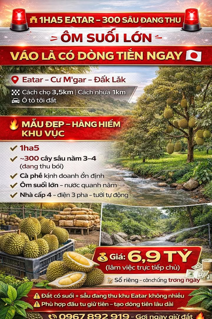 Farm 15.000m² Đắk Lắk - Ôm Suối Lớn, 300 Cây Sầu Riêng Thu Bói