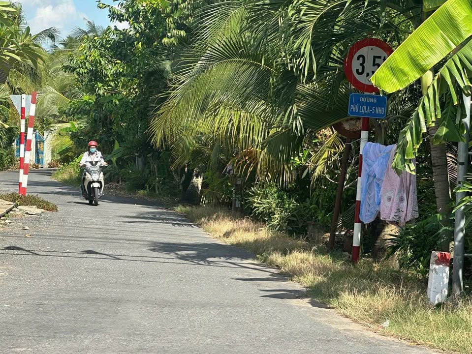 Đất Vườn Tiền Giang 10.792m² - Giá Đầu Tư 10.7 Tỷ - Sẵn Sàng Khai Thác