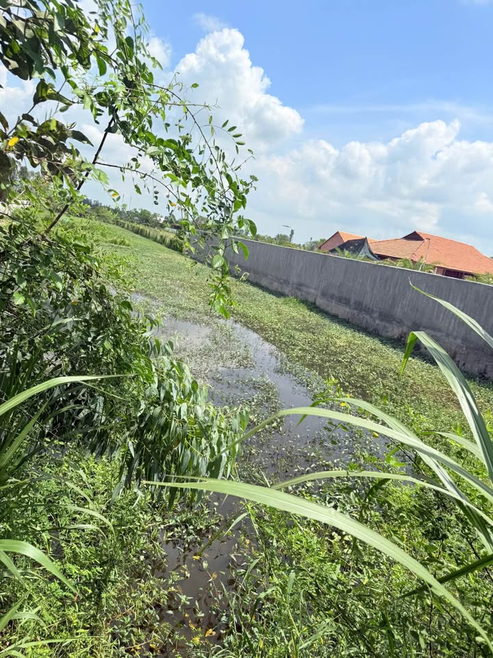 Đất vườn Cao Lãnh 2747m² giá 6.1 tỷ - Đầu tư dài hạn, sinh lời bền vững!