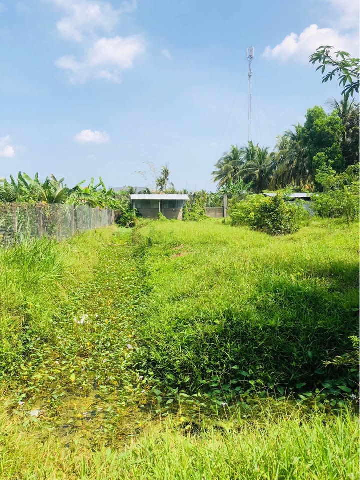 Đất nền Lương Phú B Chợ Gạo 352m² 750tr - Sổ đỏ