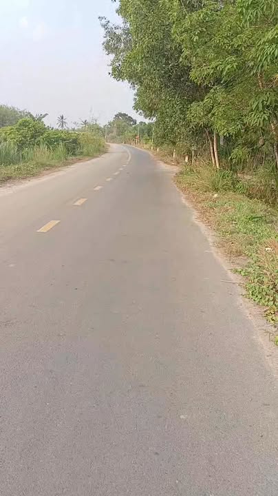 Đất Nền Đức Hòa 1000m² - Tiềm năng tăng giá vượt trội!