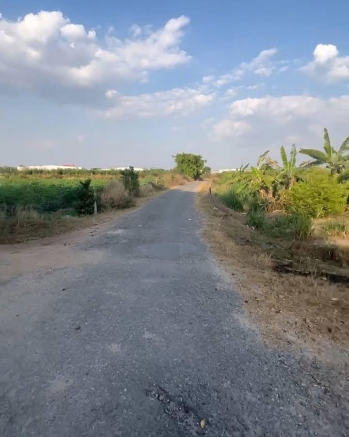 Đất nền Gò Dầu Tây Ninh 1400m² chỉ 2.3 tỷ - Tiềm năng tăng giá vượt trội!