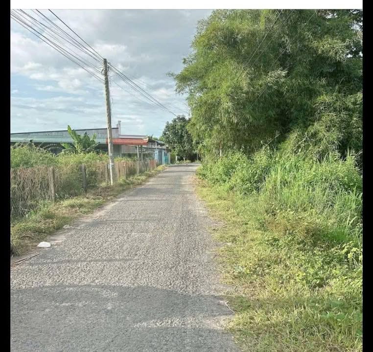 Bán Đất Thạnh Trung Tân Biên 50m² Giá Chỉ Từ 2xx Triệu - Mặt Tiền Nhựa