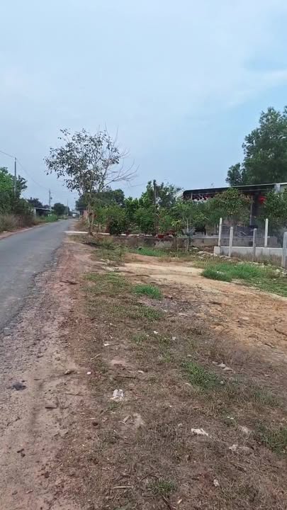 Đất Nền Long Thuận Tây Ninh 238.76m² - Giá Sốc 399 Triệu, Lộc Đầu Năm!