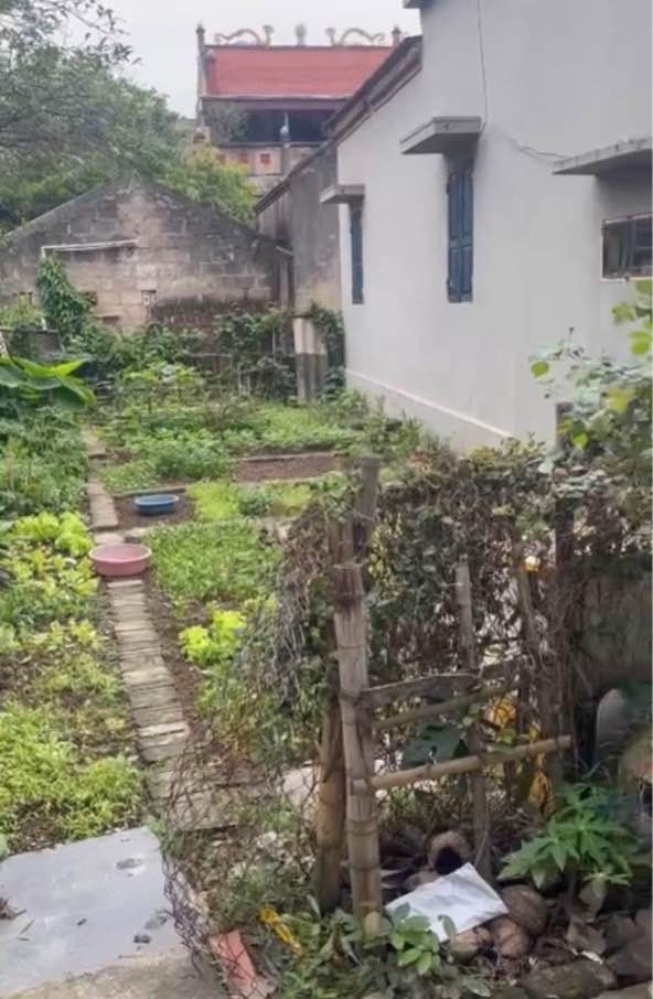 Đất TĐC Đò Quan Nam Định 72m² - Giá 1.6 Tỷ, Mặt Tiền 4m Đẹp