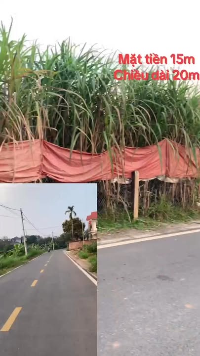 Đất nền Hy Cương, Việt Trì 296m² - Tiềm năng tăng giá