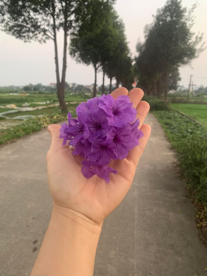 Đất nền 58m² Chàng Sơn, Hà Nội - Mặt tiền 6.5m, sẵn nhà ở ngay