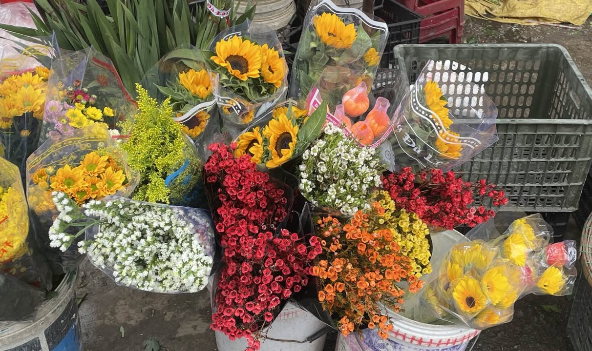 Sang Quán Coffee Mặt Tiền Phố Tây, Huế - 120m² Kinh Doanh Đắc Địa