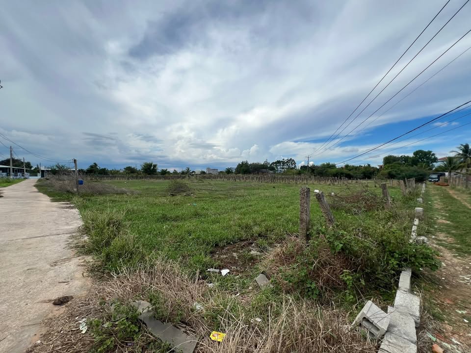 Đất nền Hàm Thuận Bắc 2600m² - Tiềm năng tăng giá vượt trội!