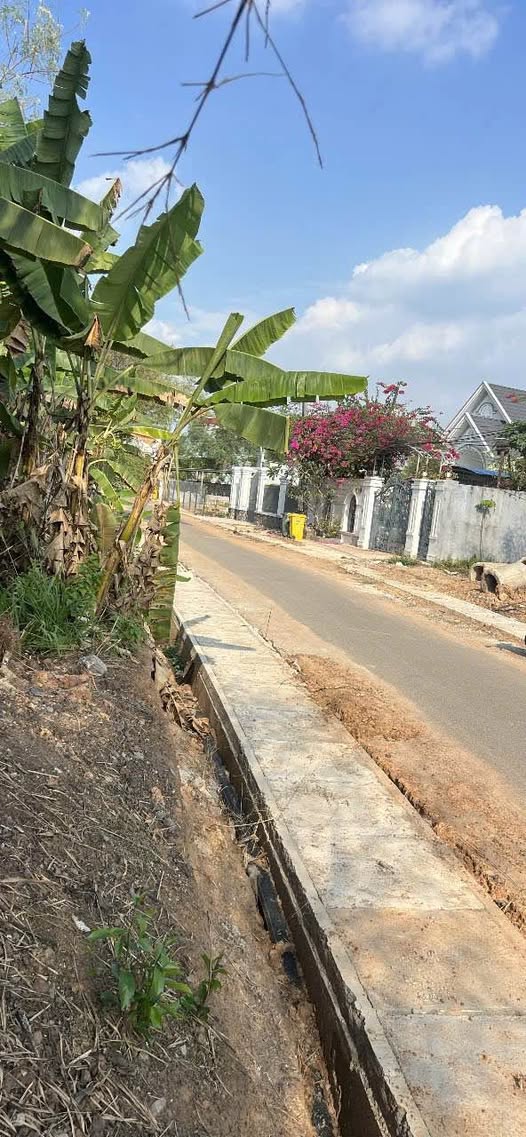 Đất Mặt Tiền Đường Nhựa Tân Uyên 484m² - Giá Ngộp 4.05 Tỷ