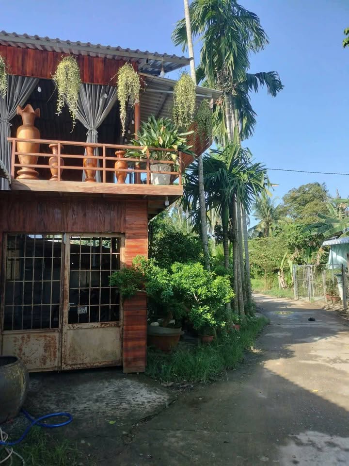 Nhà riêng Tân Dương Lai Vung 88m² giá 470 triệu - Giá tốt hiếm có!