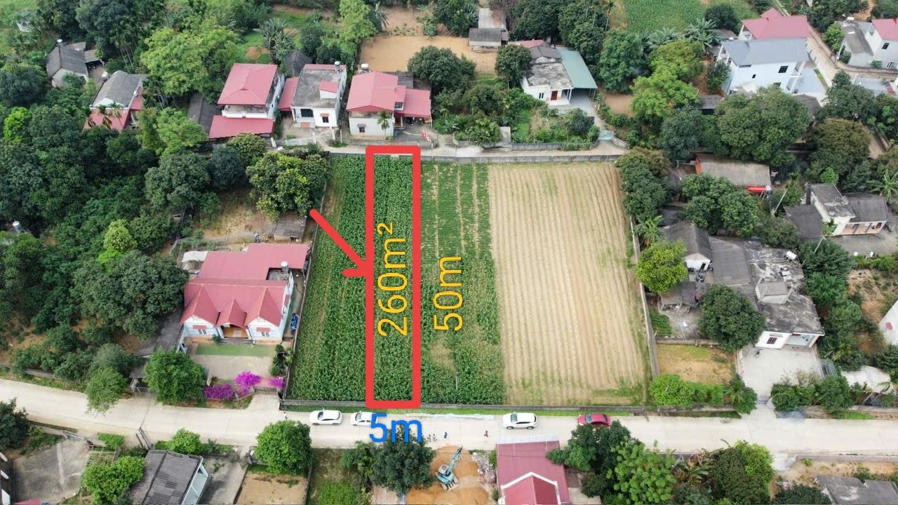 Đất nền Cẩm Khê, Phú Thọ 260m² - Sổ đỏ chính chủ, pháp lý rõ ràng!