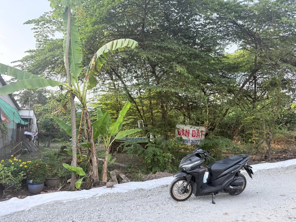 Bán Gấp Đất Vàng 1173m² Tại P. Phú Hòa, Long Xuyên - Sổ Đỏ Riêng