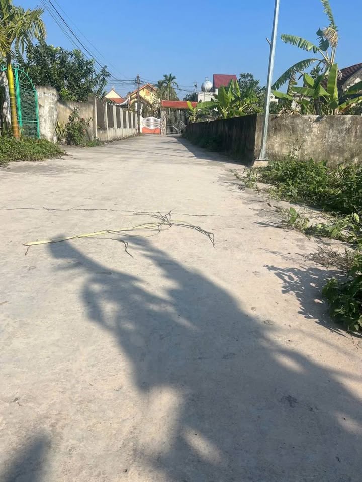 Đất Nền Nghĩa Hưng 157m² Sổ Đỏ, Hướng Nam Giá 900 Triệu - Chính Chủ Bao Phí