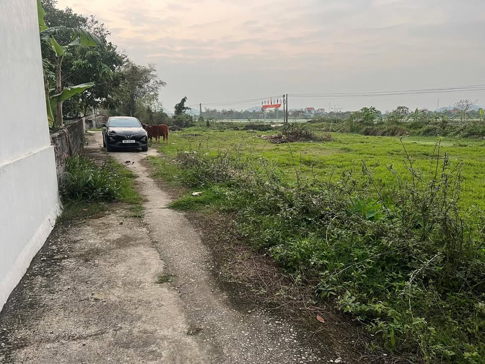 Đất nền Tuy Lộc 565m² giá 700 triệu - Tiềm năng tăng giá vượt trội