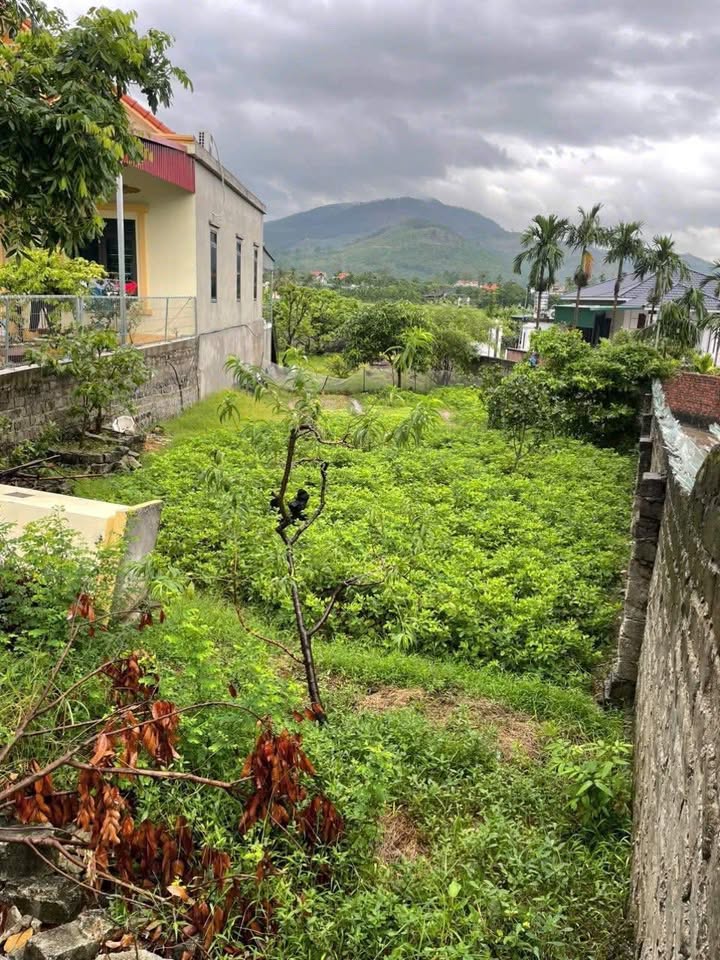 Đất nền 2 mặt tiền Phường Hoàng Quế, Đông Triều 281.9m² - Giá tốt, sổ đỏ chính chủ