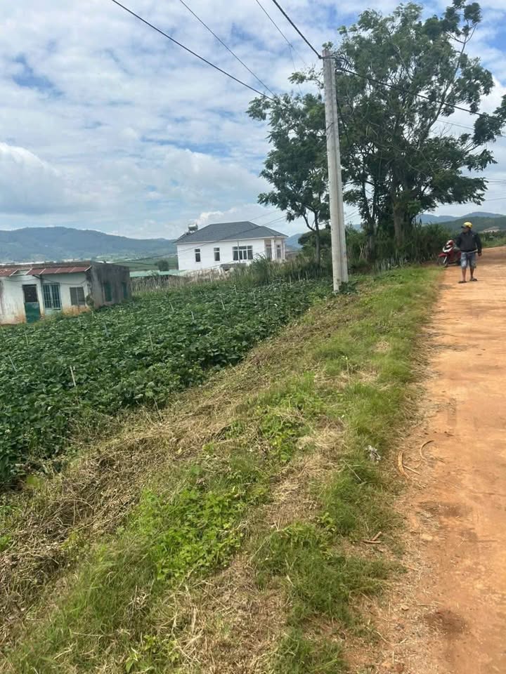 Bán Gấp Đất Vườn 5100m² Thổ Cư 100m² Tại Đơn Dương, Lâm Đồng - Sẵn Sàng Xây Dựng