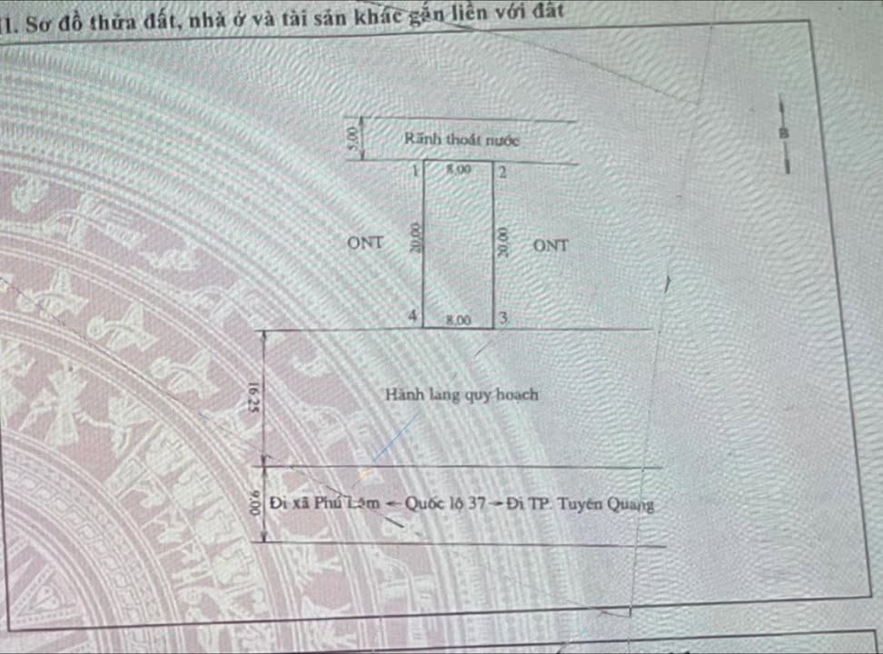 Đất phân lô 160m² QL37, Yên Sơn, Tuyên Quang - Sổ đỏ sẵn sàng