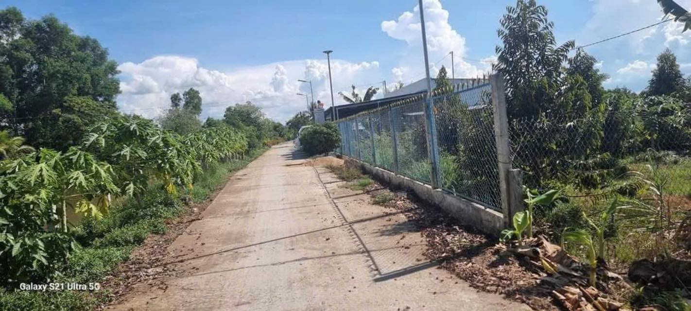 Đất Vườn Trà Vinh 30.000m² - Sầu Riêng Thái Cho Trái, Mặt Tiền Sông