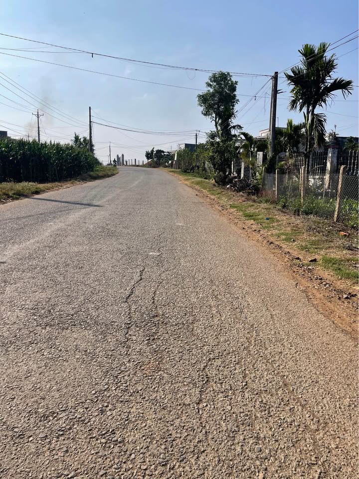 Bán Gấp Đất Mặt Tiền Đường Nhựa Đức Trọng 1500m² - Giá Ngộp 890 Triệu