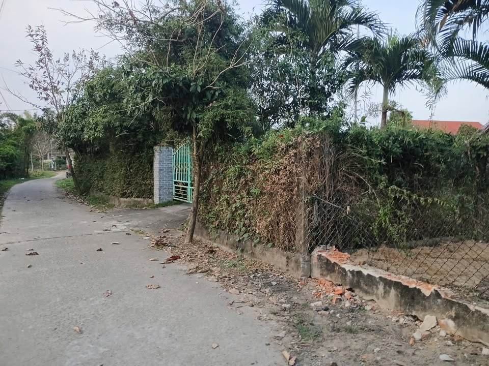 Đất nền Điện Thắng Bắc, Điện Bàn 125m² - Tiềm năng tăng giá!