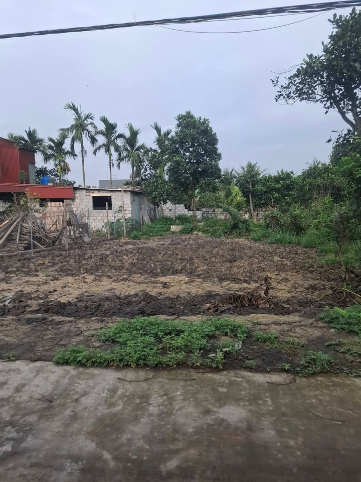 Đất Vĩnh Bảo 120m² - Sổ Đỏ Chính Quy, Gần KCN An Hòa