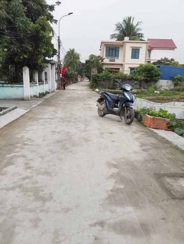 Đất Vĩnh Bảo 100m² - Sổ Đỏ Chính Chủ, Ô Tô Vào Tận Nơi