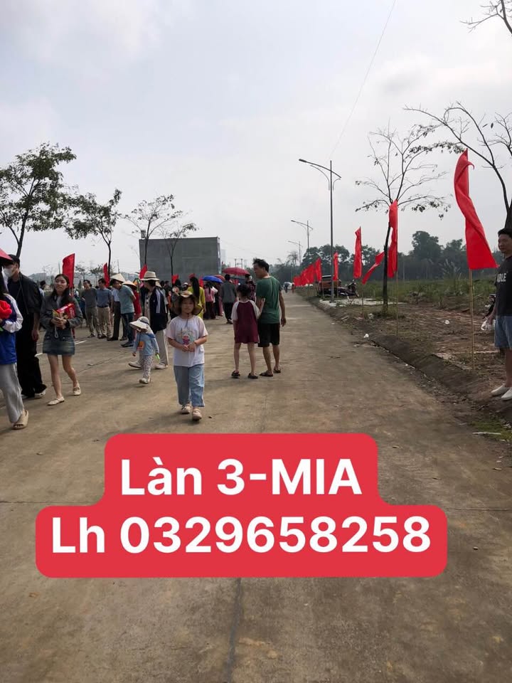 Đất nền Miaforet Thái Nguyên 95m² - Đường rộng, tiềm năng tăng giá!