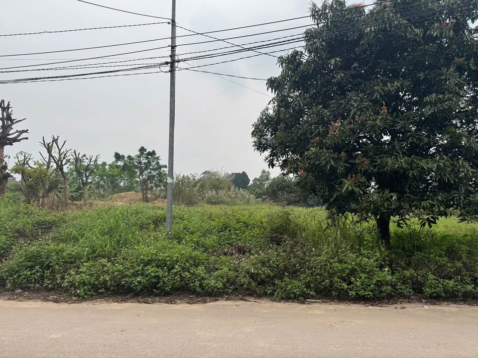 Bán Đất Mặt Tiền KDC 5 Thịnh Đán, Thái Nguyên - 100m² Hướng Đông Nam