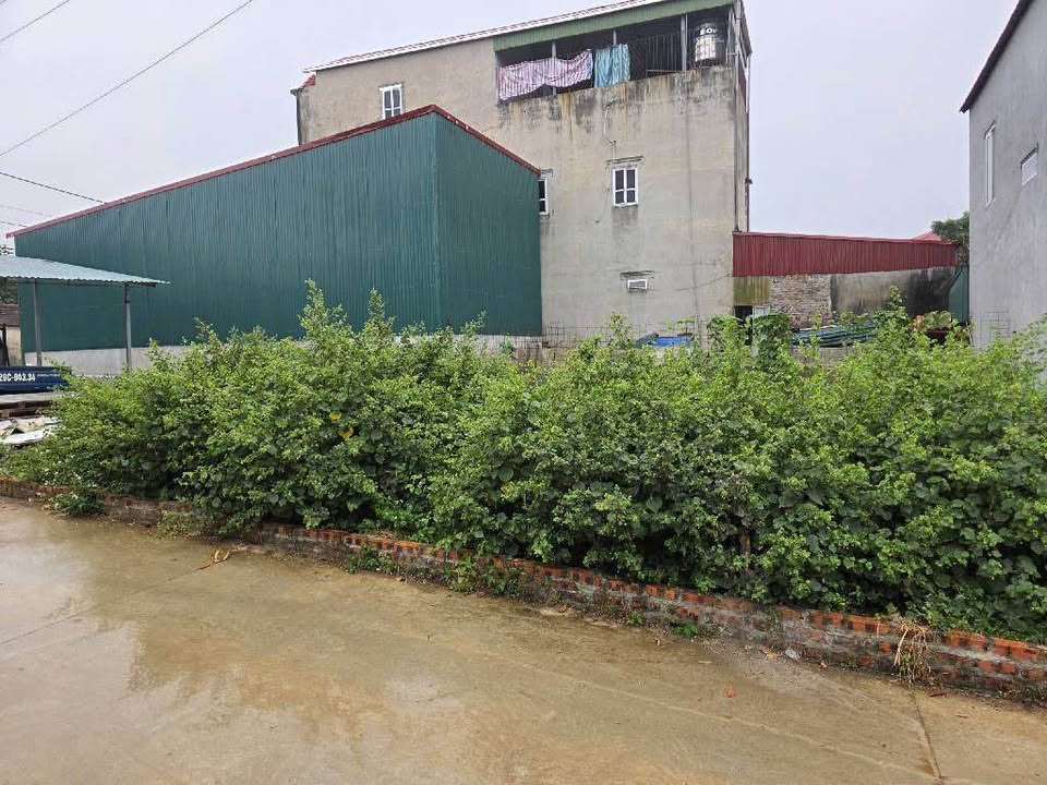 Đất nền Thôn Lập Trí Sóc Sơn 103m² - Sổ đỏ chính chủ!