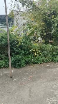 Đất nền Bảo Lương, TP Yên Bái 144.5m² - Sổ đỏ chính chủ, vị trí đắc địa!