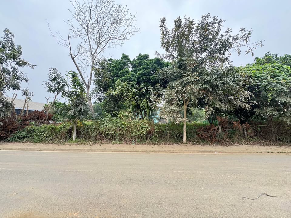 Biệt thự Tập Lập B1 Lào Cai 243.9m² - Vị trí đẹp, giá tốt hiếm có!