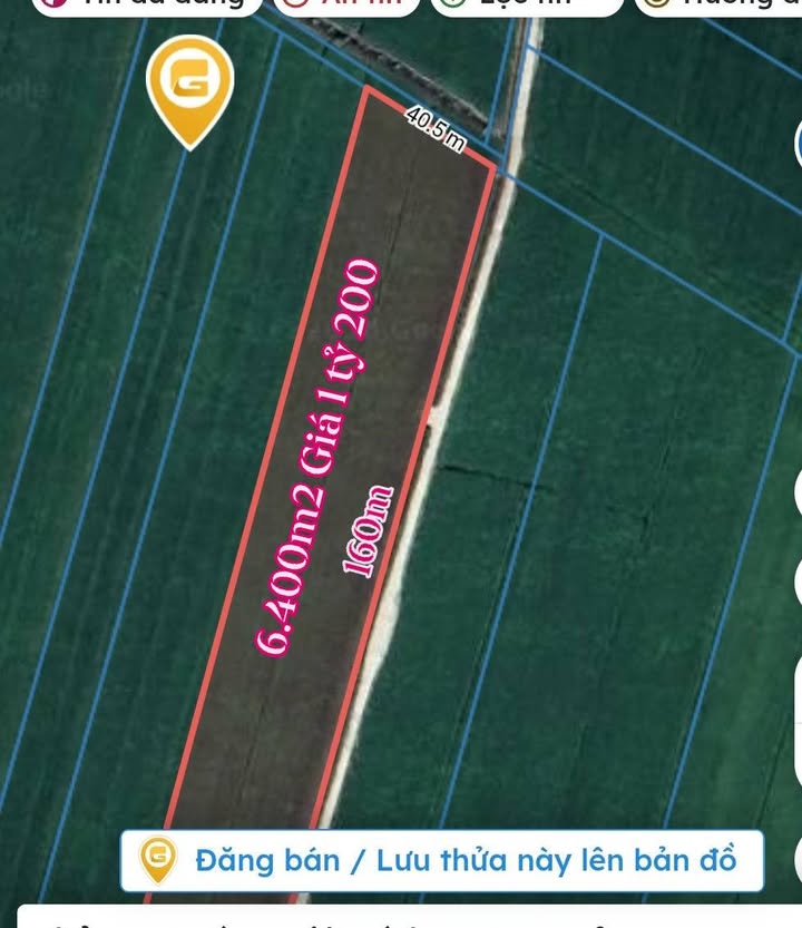 Đất Vườn 6400m² Phong Mỹ, Đồng Tháp - Giá Đầu Tư 1.2 Tỷ