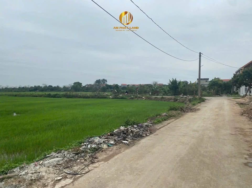 Đất Xã Ninh Khang, Hoa Lư 100m² - Gần Chợ Bạch Cừ, Vị Trí Đẹp