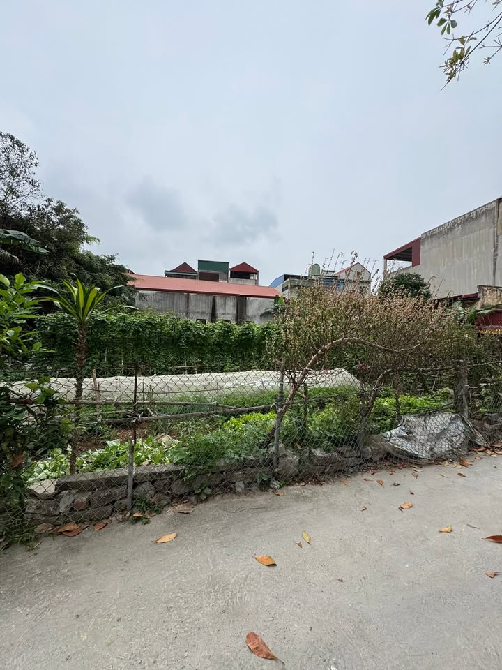 Đất nền Thành Phố Ninh Bình 79m² - Tiềm năng tăng giá vượt trội!